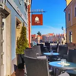 酒店 泰尔奇酒店