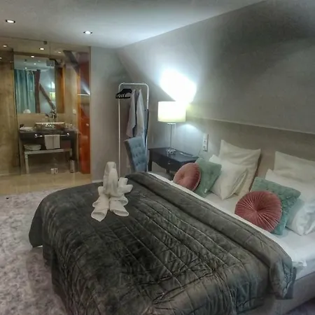 Hotel Telc מלון טלץ'