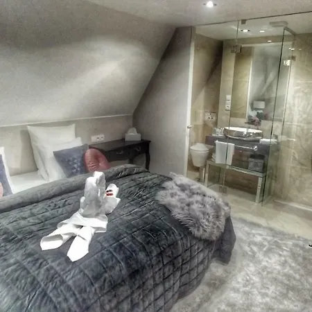 Hotel Hotel Telč 4*