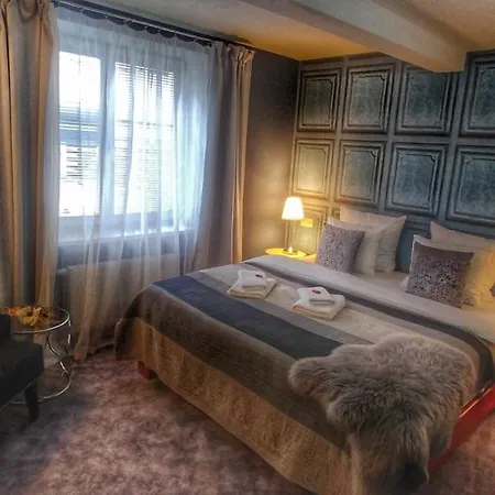 Hotel Telc מלון