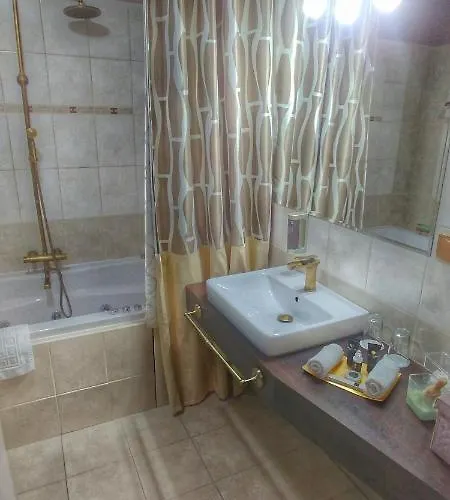 Hotel Telc 4*